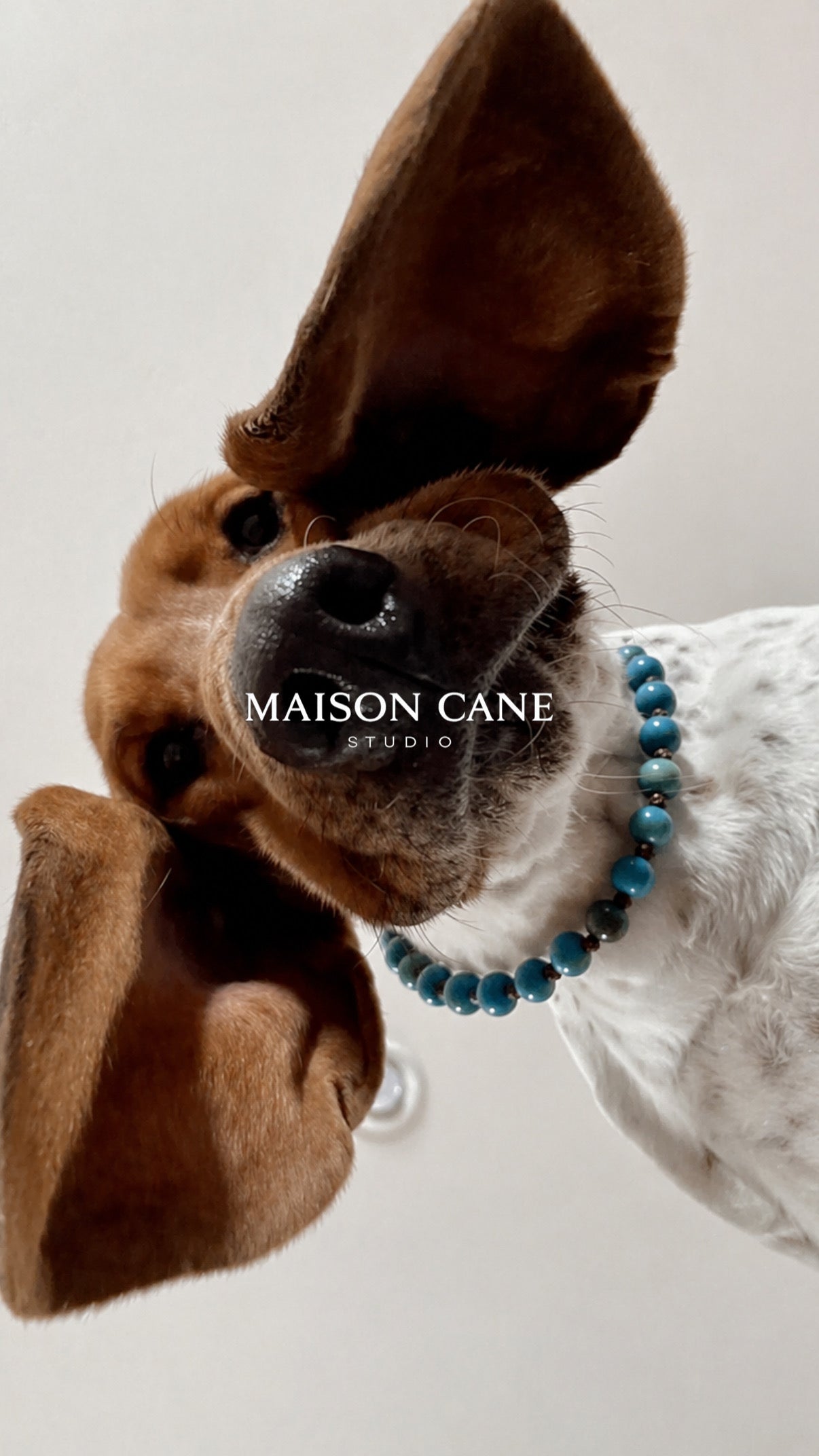 Collar de bolas azules de cerámica ajustable perro